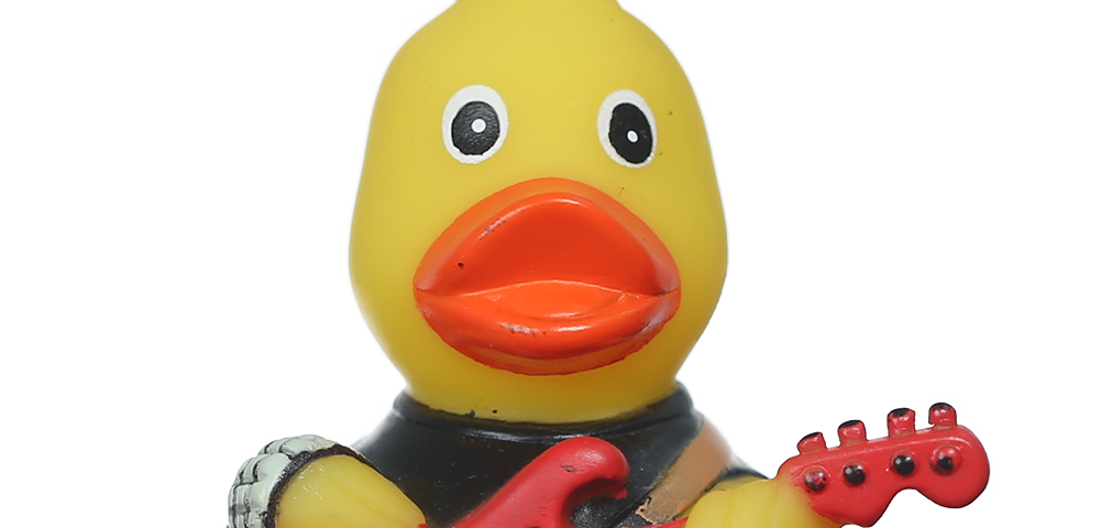 Rockente