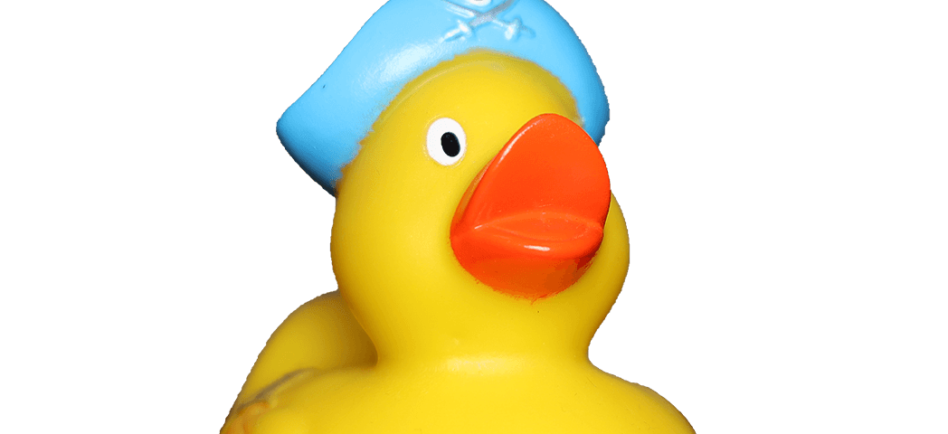 Piratenente Blauemütze