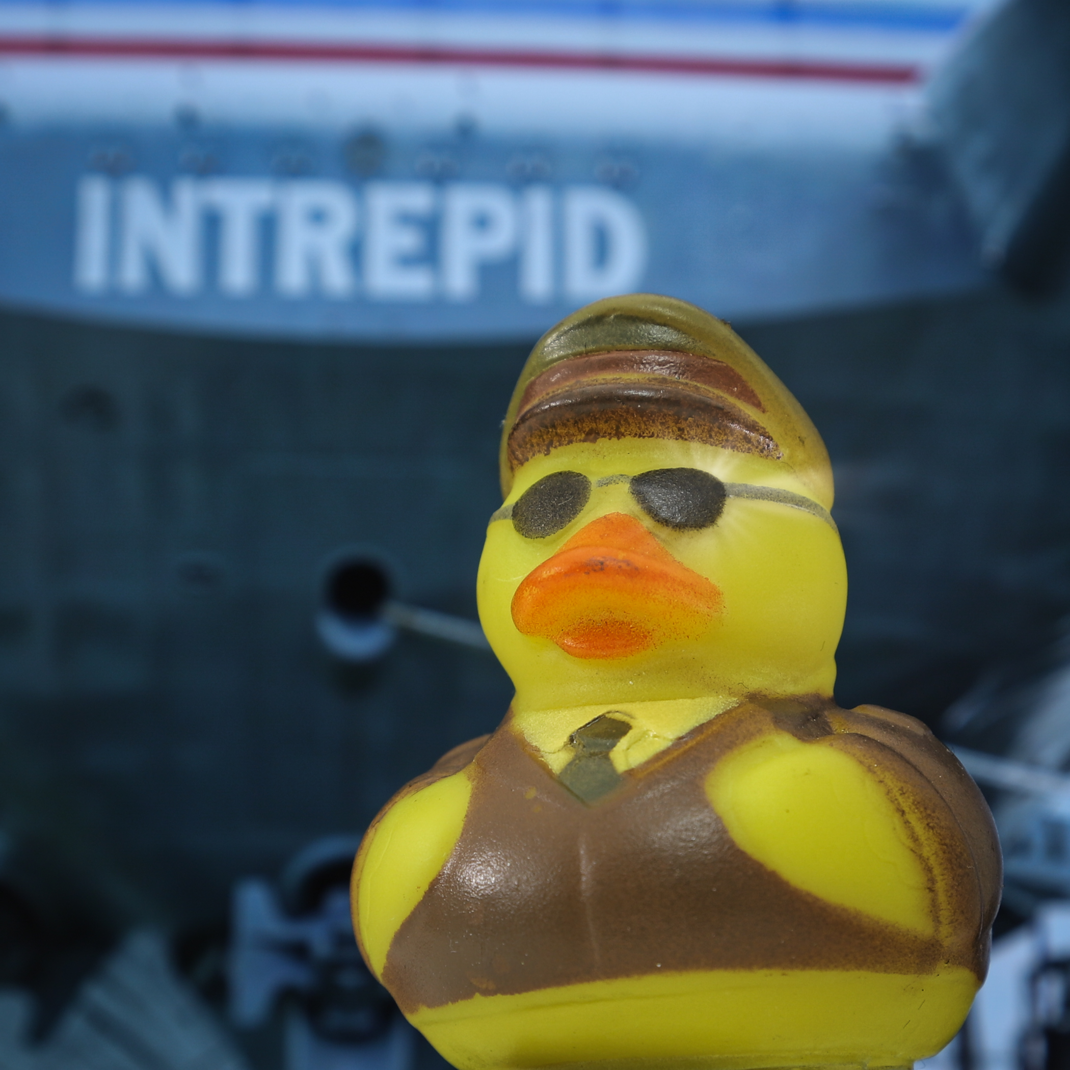 INTREPID-Ente